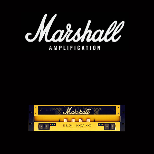 Marshall EL34 100 100 valve kit
