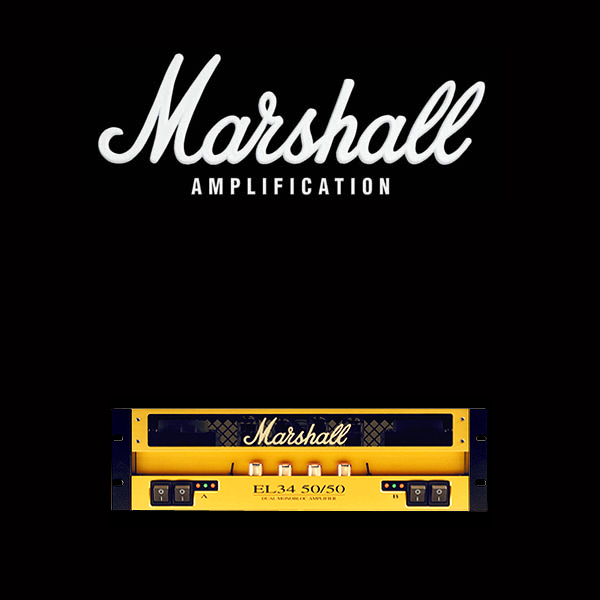 Marshall EL34 50 50 valve kit