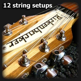 12 string setups